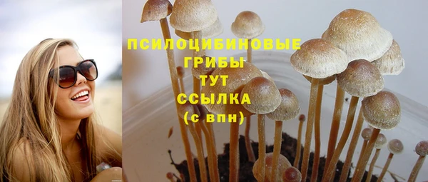 a pvp Абдулино