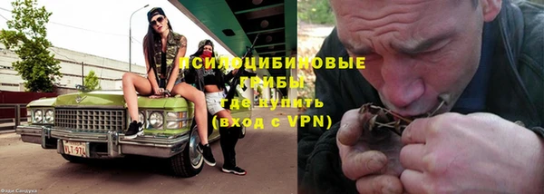 ешки Абаза