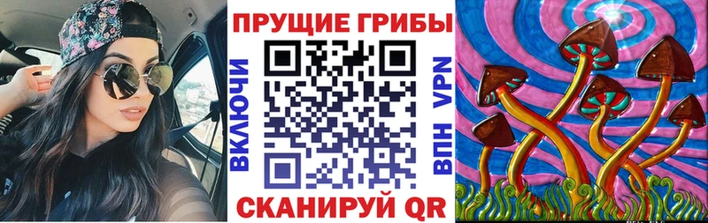 Галлюциногенные грибы прущие грибы  магазин продажи наркотиков  Касимов 